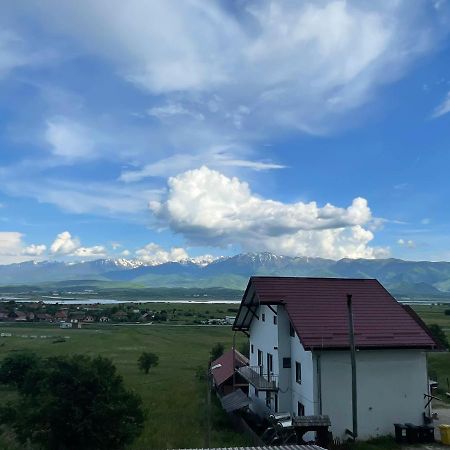 Pensiunea Iza Bradu  Buitenkant foto