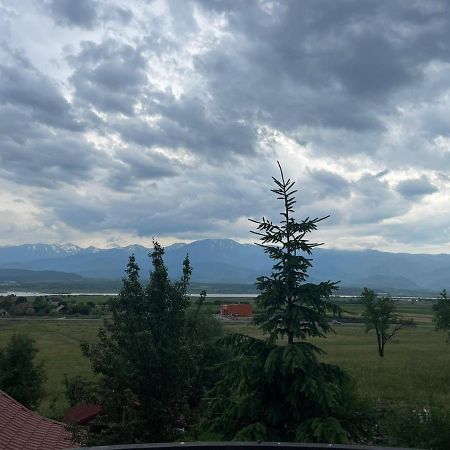 Pensiunea Iza Bradu  Buitenkant foto
