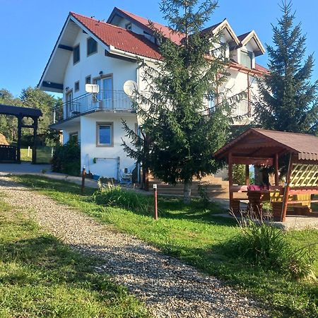 Pensiunea Iza Bradu  Buitenkant foto