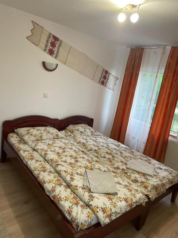 Pensiunea Iza Bradu  Buitenkant foto