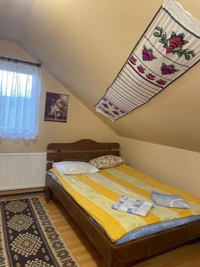 Pensiunea Iza Bradu  Buitenkant foto