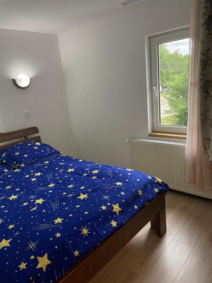 Pensiunea Iza Bradu  Buitenkant foto