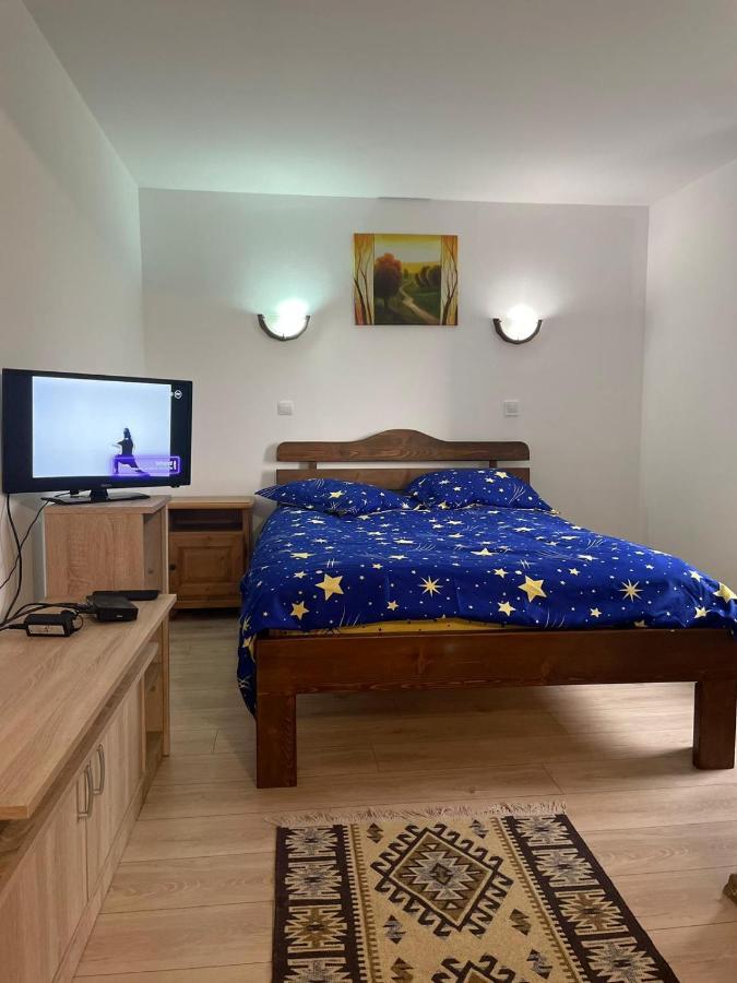 Pensiunea Iza Bradu  Buitenkant foto