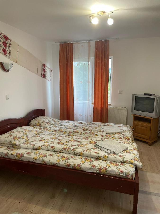 Pensiunea Iza Bradu  Buitenkant foto
