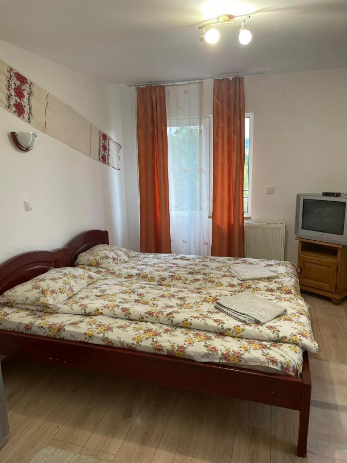 Pensiunea Iza Bradu  Buitenkant foto