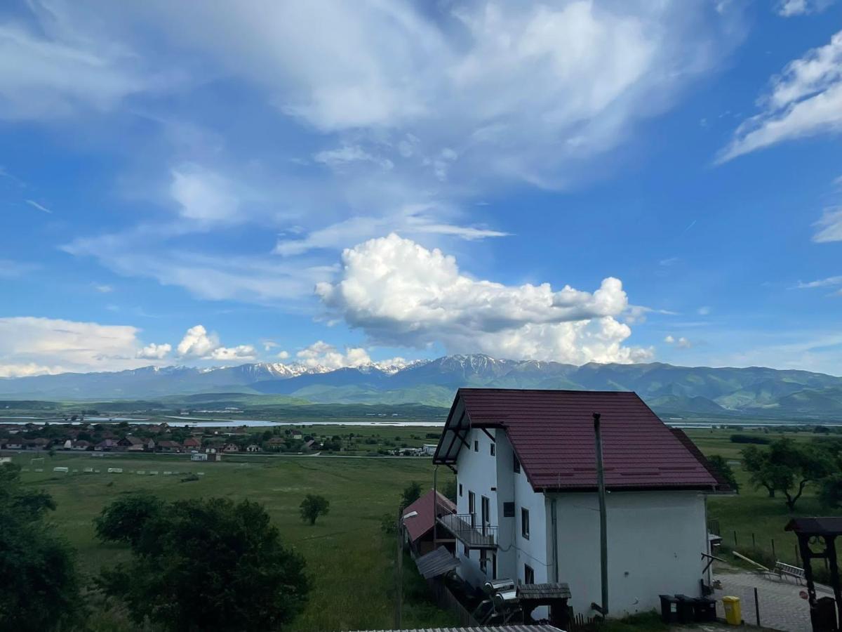 Pensiunea Iza Bradu  Buitenkant foto
