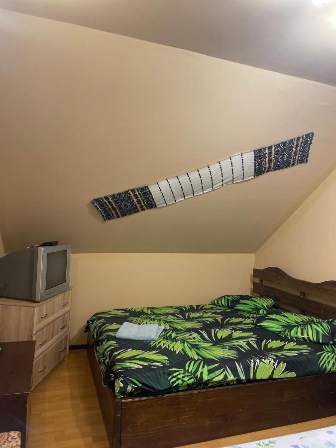 Pensiunea Iza Bradu  Buitenkant foto
