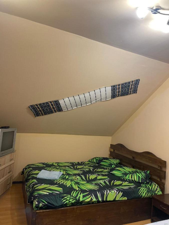 Pensiunea Iza Bradu  Buitenkant foto