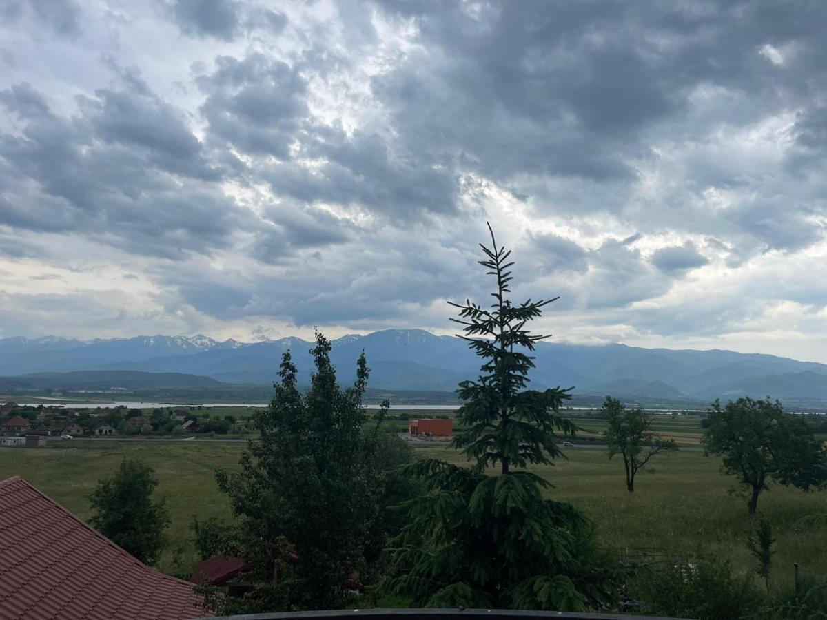 Pensiunea Iza Bradu  Buitenkant foto