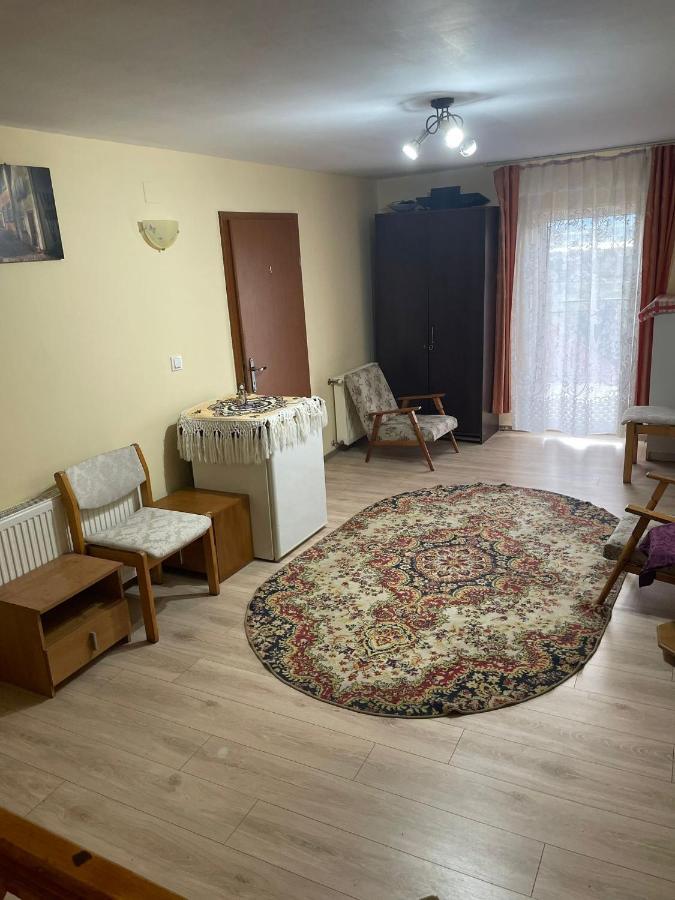 Pensiunea Iza Bradu  Buitenkant foto