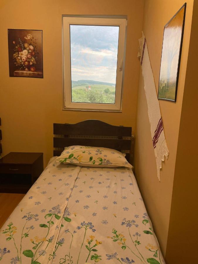 Pensiunea Iza Bradu  Buitenkant foto