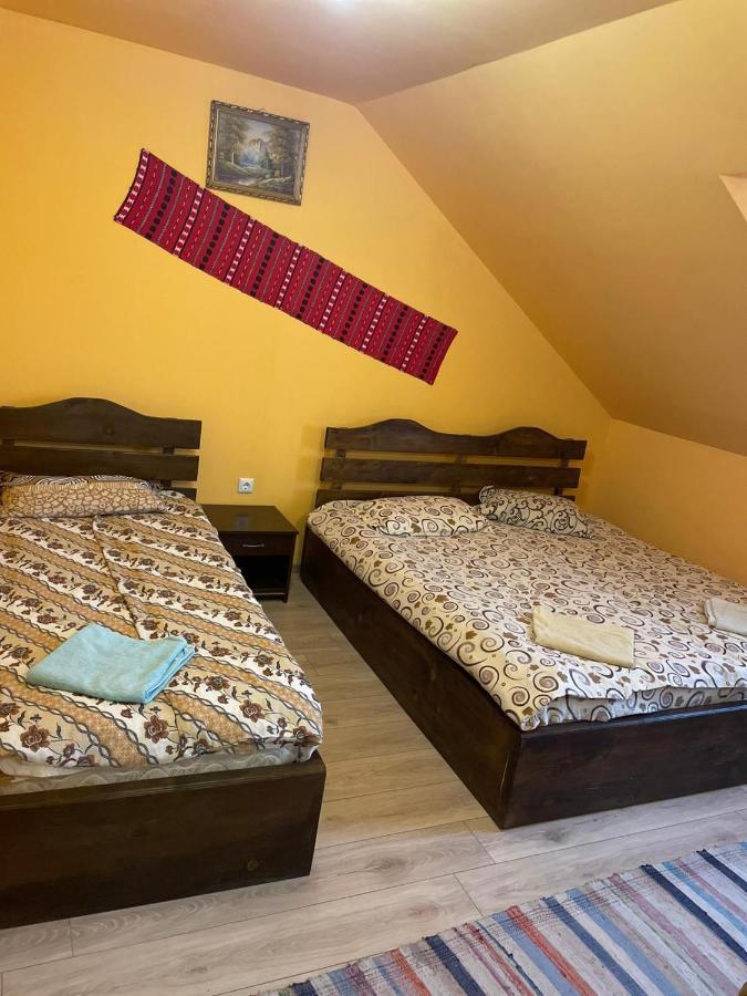 Pensiunea Iza Bradu  Buitenkant foto