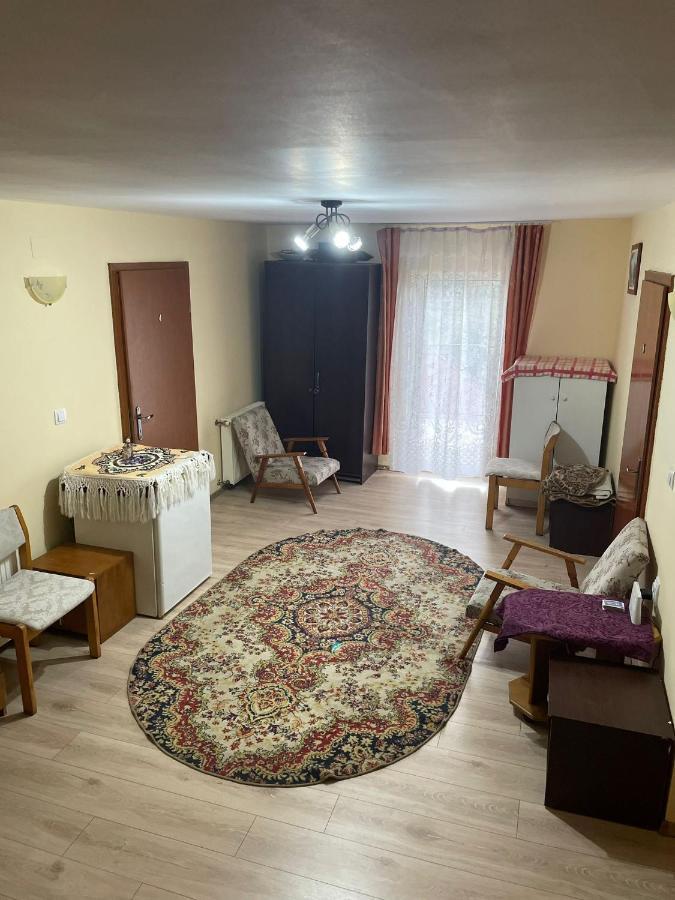 Pensiunea Iza Bradu  Buitenkant foto