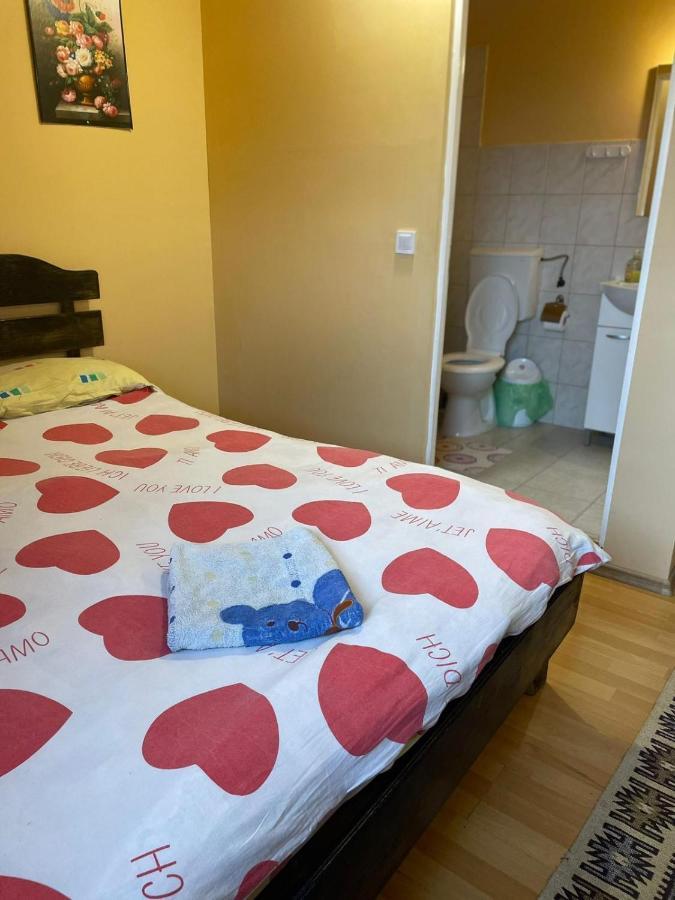 Pensiunea Iza Bradu  Buitenkant foto