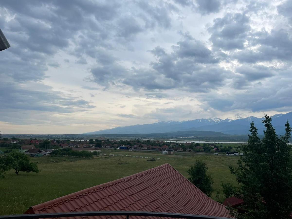Pensiunea Iza Bradu  Buitenkant foto
