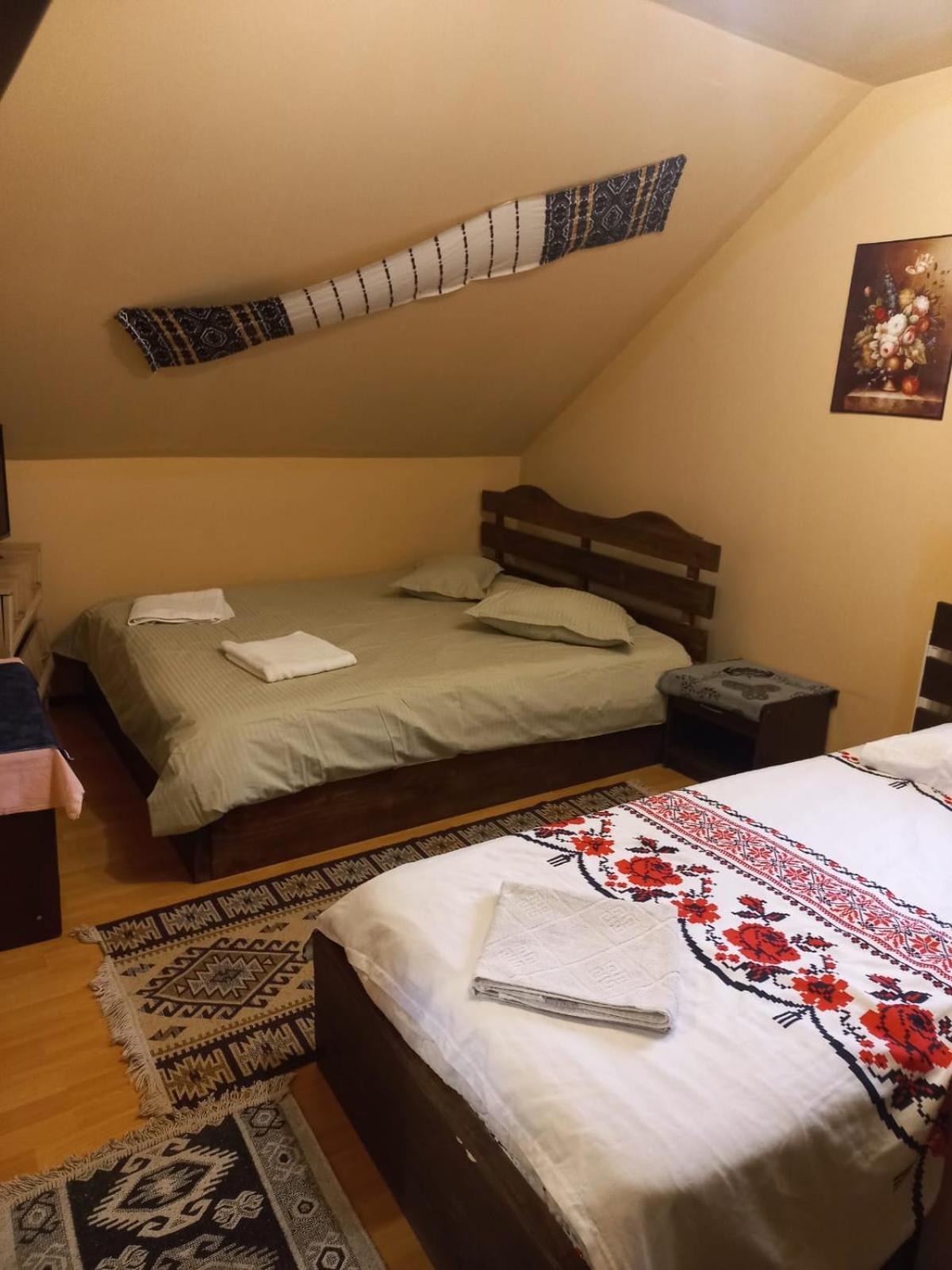 Pensiunea Iza Bradu  Buitenkant foto