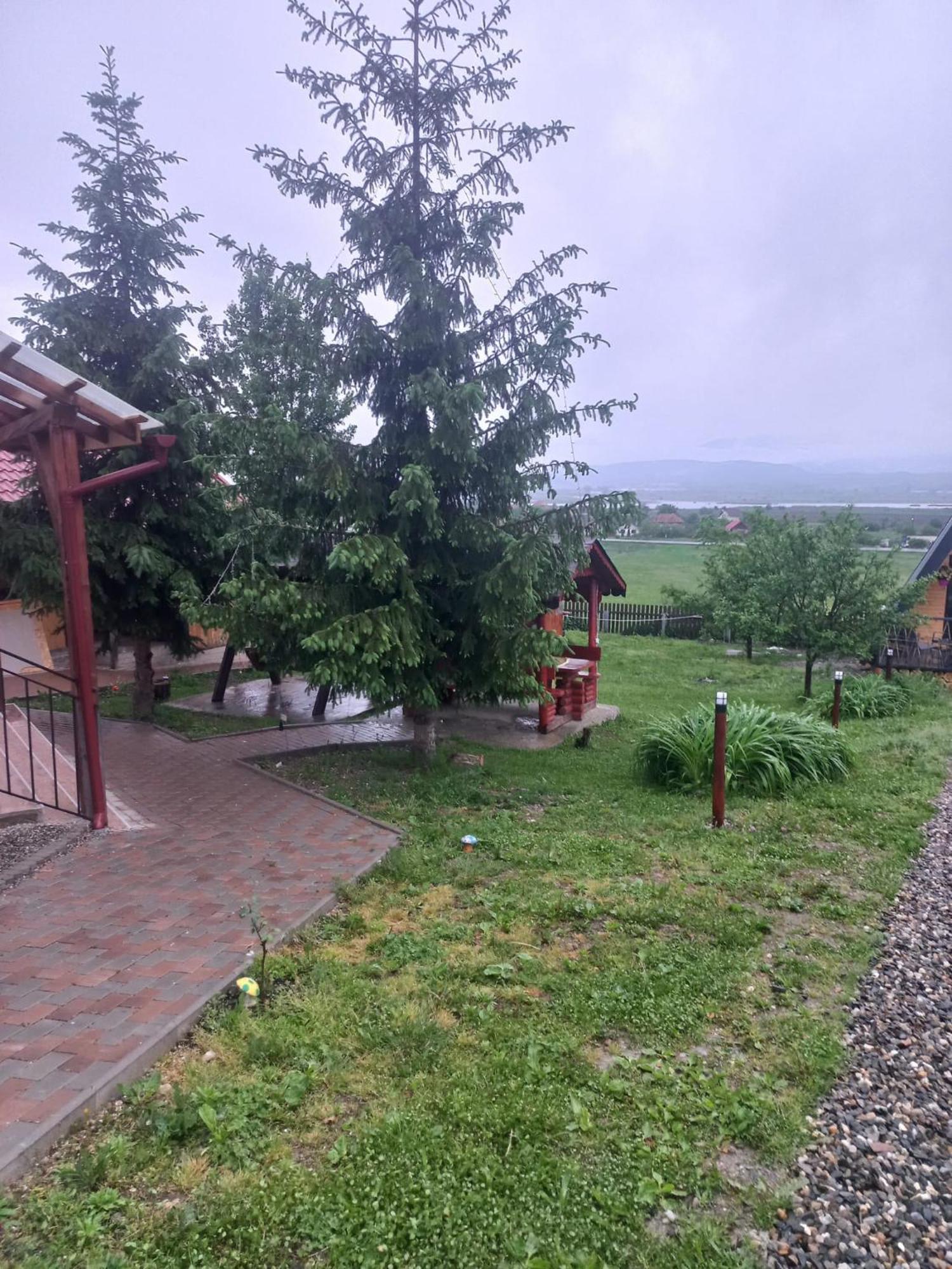 Pensiunea Iza Bradu  Buitenkant foto