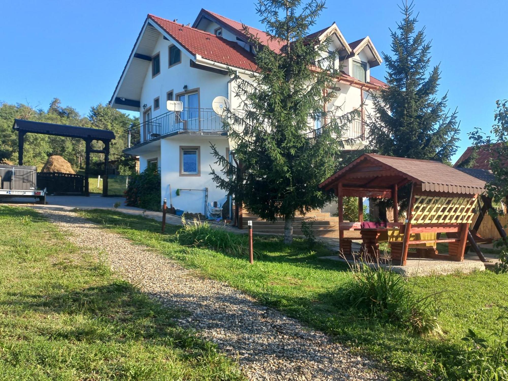 Pensiunea Iza Bradu  Buitenkant foto
